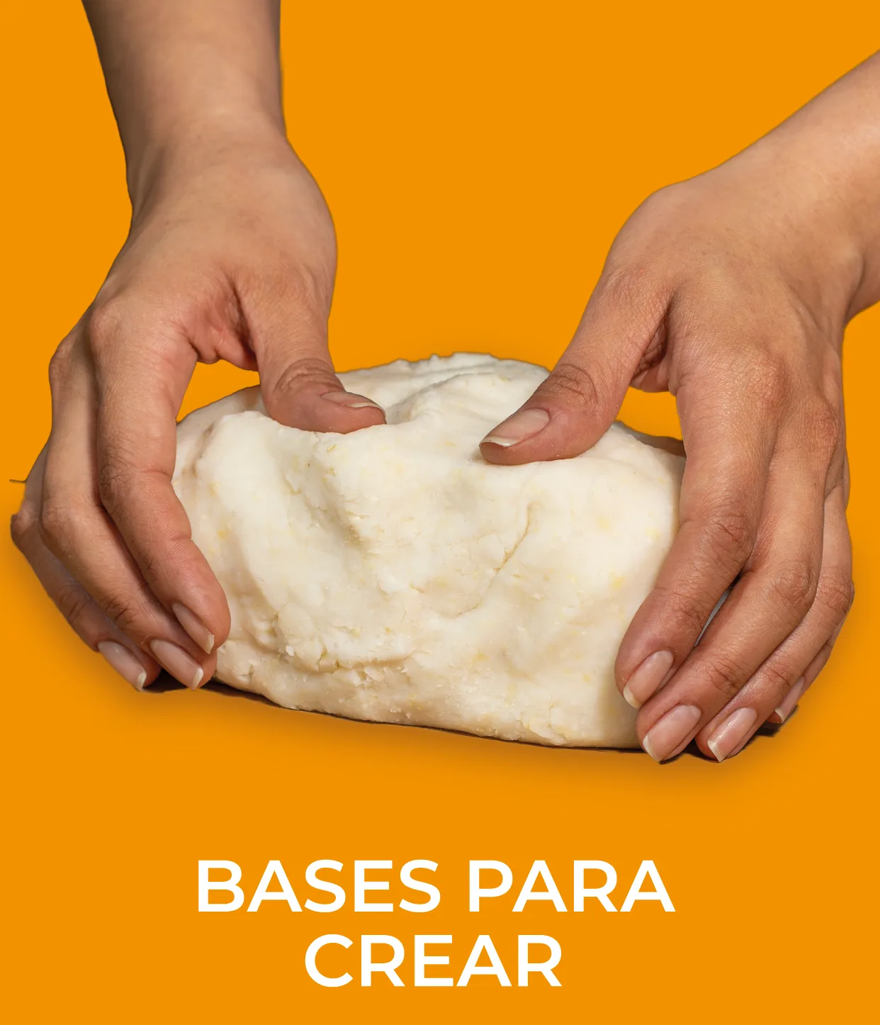 BASES PARA CREAR