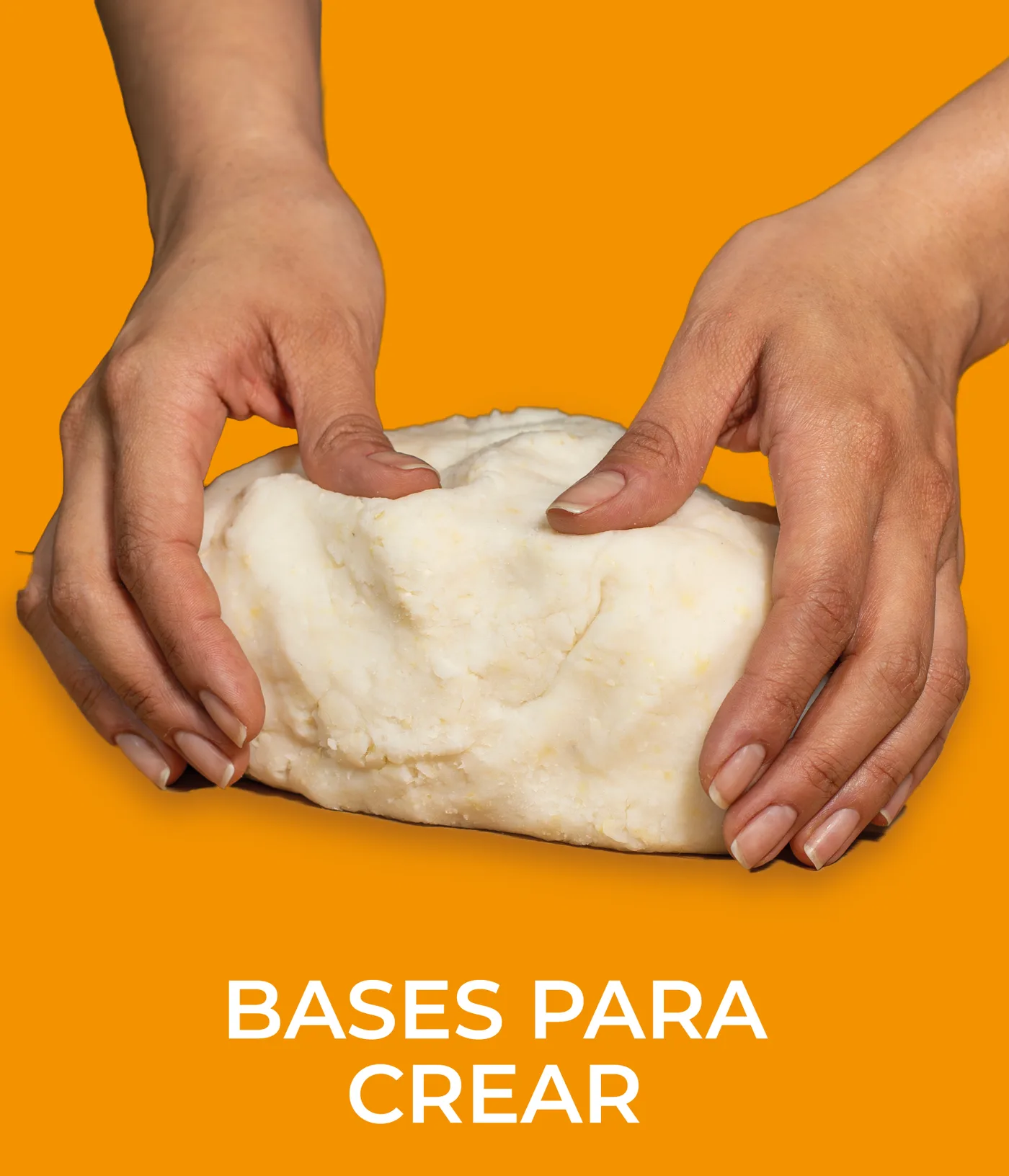BASES PARA CREAR
